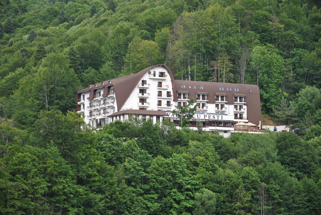 Hotel Valea Cu Pesti Căpăţîneni-Ungureni 외부 사진